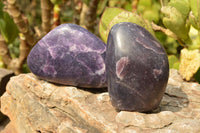 Polished Deep Dark and Light Purple Lepidolite Mica Free Forms  x 3 From Zimbabwe - TopRock