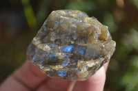 Natural Rough Labradorite Cobbed Specimens  x 35 From Tulear, Madagascar - Toprock Gemstones and Minerals 