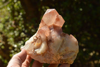 Natural Red Hematoid Phantom Quartz Clusters  x 2 From Karoi, Zimbabwe - TopRock