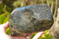 Polished Labradorite Standing Free Forms With Intense Blue Flash  x 2 From Madagascar - TopRock