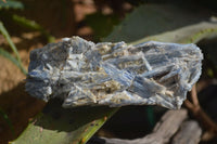 Natural Matrix Kyanite Specimens (One With Garnet) x 6 From Karoi, Zimbabwe - Toprock Gemstones and Minerals 