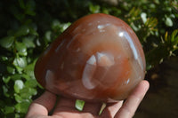 Polished Extra Large Strawberry Agate Free Forms  x 2 From KZN, South Africa