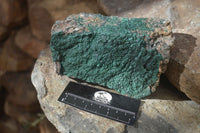 Natural Micro Botryoidal Crystalline Malachite Specimen x 1 From Congo