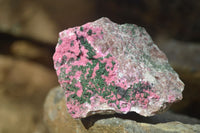 Natural Pink Salrose Cobaltion Dolomite Specimens x 6 From Kakanda, Congo