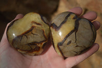 Polished Septerye (Calcite & Aragonite) Hearts x 6 From Mahajanga, Madagascar