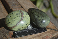 Polished Leopard Stone Gallets  x 6 From Nyanga & Shamva, Zimbabwe - Toprock Gemstones and Minerals 