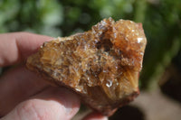 Natural Honey Aragonite Etched & Cobbed Pieces  x 6 From Namibia - Toprock Gemstones and Minerals 