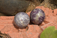 Polished Purple Lepidolite Mica Spheres  x 6 From Madagascar - TopRock