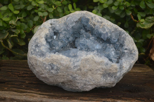 Natural Large Blue Celestite Geode With Gemmy Centred Crystals  x 1 From Sakoany, Madagascar