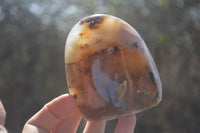 Polished Mixed Agate Standing Free Forms x 6 From West Coast, Madagascar