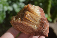 Natural Honey Aragonite Etched & Cobbed Pieces  x 6 From Namibia - Toprock Gemstones and Minerals 