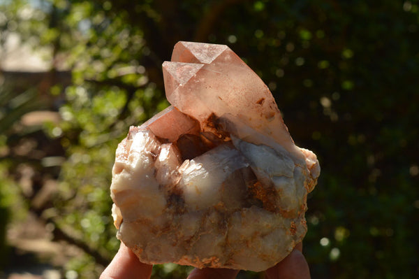 Natural Red Hematoid Phantom Quartz Clusters  x 2 From Karoi, Zimbabwe - TopRock