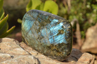 Polished Labradorite Standing Free Forms With Intense Blue Flash  x 2 From Madagascar - TopRock