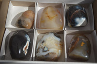 Polished Mixed Agate Standing Free Forms  x 6 From Madagascar