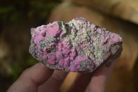 Natural Pink Salrose Cobaltion Dolomite Specimens x 6 From Kakanda, Congo