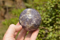 Polished Purple Lepidolite Mica Spheres  x 6 From Madagascar - TopRock