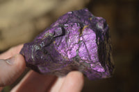 Natural Metallic Purpurite Cobbed Specimens x 12 From Erongo, Namibia