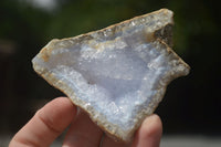 Natural Blue Lace Agate Geode Specimens  x 12 From Malawi - TopRock