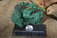 Natural Chatoyant Silky Malachite Specimens  x 7 From Kasompe, Congo