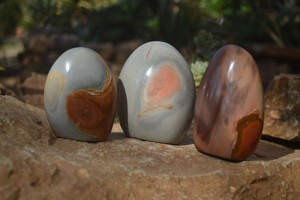 Polished Polychrome Jasper Standing Free Forms  x 3 From Madagascar