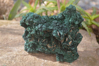 Natural Silky Malachite Specimen  x 1 From Kasompe, Congo