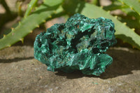 Natural Chatoyant Silky Malachite Specimens  x 7 From Kasompe, Congo