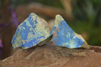 Natural Azurite & Malachite On Dolomite Specimens  x 24 From Kaokoveld, Namibia - Toprock Gemstones and Minerals 