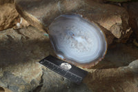 Polished Highly Selected Agate Slices With Stunning Patterns  x 6 From Madagascar