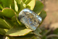 Polished Labradorite Standing Free Forms With Intense Blue Flash  x 2 From Madagascar - TopRock