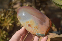 Polished Polychrome Jasper Standing Free Forms  x 3 From Madagascar