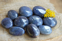 Polished Blue Lazulite Palm Stones  x 12 From Madagascar - TopRock