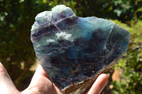 Polished Watermelon Fluorite Slices x 3 From Uis, Namibia - TopRock