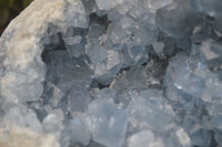 Natural Large Blue Celestite Geode With Gemmy Centred Crystals  x 1 From Sakoany, Madagascar