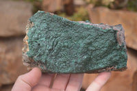 Natural Micro Botryoidal Crystalline Malachite Specimen x 1 From Congo