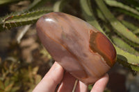 Polished Polychrome Jasper Standing Free Forms  x 3 From Madagascar