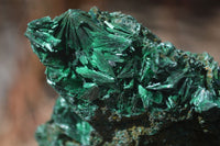 Natural Chatoyant Silky Malachite Specimens  x 7 From Kasompe, Congo