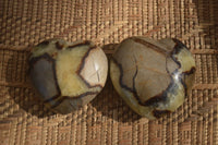 Polished Septerye (Calcite & Aragonite) Hearts x 6 From Mahajanga, Madagascar