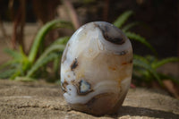 Polished Mixed Agate Standing Free Forms  x 6 From Madagascar