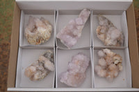 Natural Spirit Amethyst Quartz Clusters x 6 From Boekenhouthoek, South Africa