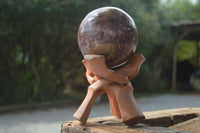 Polished Petrified Podocarpus Wood Sphere & Stand  x 2 From Mahajanga, Madagascar - Toprock Gemstones and Minerals 