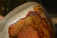 Polished  Large Polychrome / Picasso Jasper Standing Free Form  x 1 From Madagascar