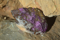 Natural Metallic Purpurite Cobbed Specimens x 12 From Erongo, Namibia