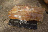 Natural Honey Aragonite Etched & Cobbed Pieces  x 6 From Namibia - Toprock Gemstones and Minerals 