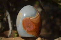 Polished Polychrome Jasper Standing Free Forms  x 3 From Madagascar