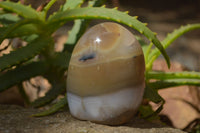 Polished Mixed Agate Standing Free Forms x 6 From West Coast, Madagascar