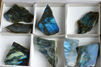 Polished One Side Polished Labradorite Slices  x 8 From Tulear, Madagascar - TopRock