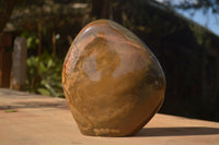 Polished  Large Polychrome / Picasso Jasper Standing Free Form  x 1 From Madagascar