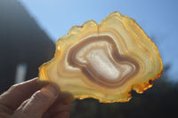 Polished Highly Selected Agate Slices With Stunning Patterns  x 6 From Madagascar