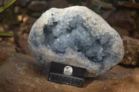 Natural Large Blue Celestite Geode With Gemmy Centred Crystals  x 1 From Sakoany, Madagascar