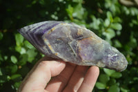 Polished "Witches Hat" Chevron Amethyst Crystals  x 6 From Zambia - Toprock Gemstones and Minerals 